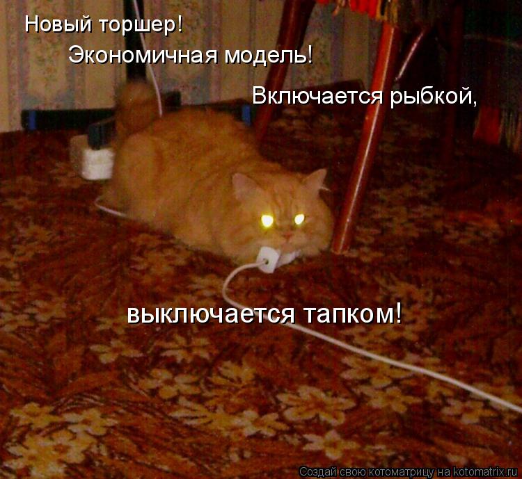 Новый торшер! Экономичная модель! Включается рыбкой, выключается тапком!... Котоматрица: Новый торшер! Экономичная модель! Включается рыбкой, выключается тапком!