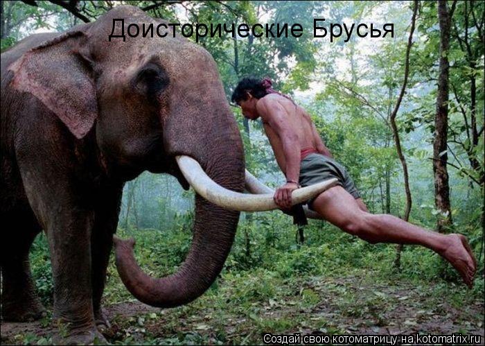 Доисторические Брусья... Котоматрица: Доисторические Брусья