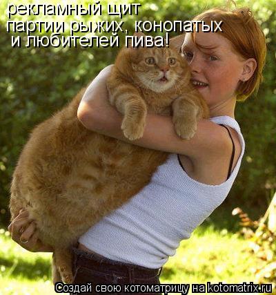 рекламный щит партии рыжих, конопатых и любителей пива!... Котоматрица: рекламный щит партии рыжих, конопатых и любителей пива!
