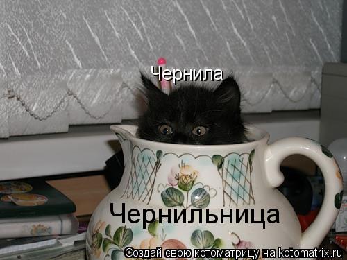 Чернильница Чернила... Котоматрица: Чернильница Чернила