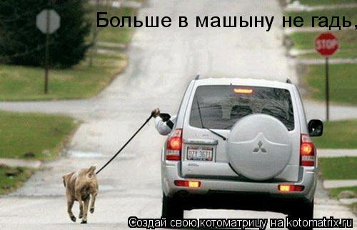 Больше в машыну не гадь,... Котоматрица: Больше в машыну не гадь,