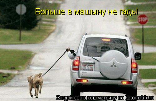 Больше в машыну не гадь!... Котоматрица: Больше в машыну не гадь!