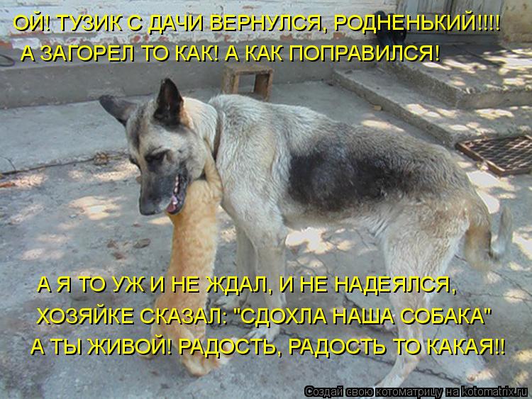 ОЙ! ТУЗИК С ДАЧИ ВЕРНУЛСЯ, РОДНЕНЬКИЙ!!!! А ЗАГОРЕЛ ТО КАК! А КАК ПОПРАВИЛСЯ! А Я ТО УЖ И НЕ ЖДАЛ, И ... Котоматрица: ОЙ! ТУЗИК С ДАЧИ ВЕРНУЛСЯ, РОДНЕНЬКИЙ!!!! А ЗАГОРЕЛ ТО КАК! А КАК ПОПРАВИЛСЯ! А Я ТО УЖ И НЕ ЖДАЛ, И НЕ НАДЕЯЛСЯ, ХОЗЯЙКЕ СКАЗАЛ: "СДОХЛА НАША СОБА