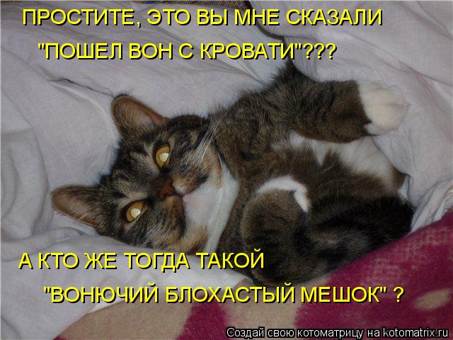 А КТО ЖЕ ТОГДА ТАКОЙ "ВОНЮЧИЙ БЛОХАСТЫЙ МЕШОК" ? ПРОСТИТЕ, ЭТО ВЫ МНЕ СКАЗАЛИ "ПОШЕЛ ВОН С КРОВАТИ"... Котоматрица: А КТО ЖЕ ТОГДА ТАКОЙ "ВОНЮЧИЙ БЛОХАСТЫЙ МЕШОК" ? ПРОСТИТЕ, ЭТО ВЫ МНЕ СКАЗАЛИ "ПОШЕЛ ВОН С КРОВАТИ"???