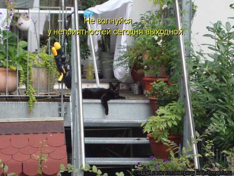Не волнуйся, у неприятностей сегодня выходной.... Котоматрица: Не волнуйся, у неприятностей сегодня выходной.