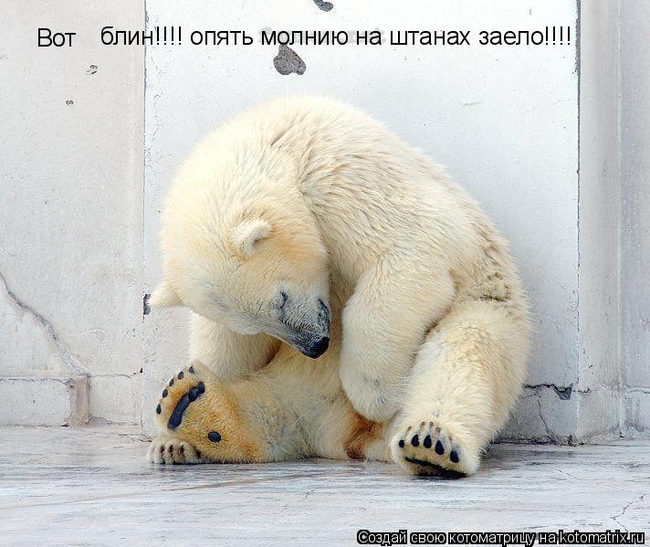 Вот блин!!!! опять молнию на штанах заело!!!!... Котоматрица: Вот блин!!!! опять молнию на штанах заело!!!!