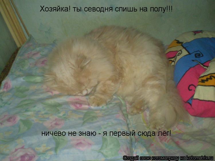 Хозяйка! ты севодня спишь на полу!!! ничево не знаю - я первый сюда лёг!... Котоматрица: Хозяйка! ты севодня спишь на полу!!! ничево не знаю - я первый сюда лёг!