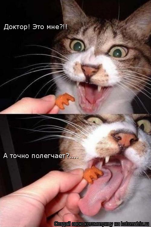 Доктор! Это мне?!! А точно полегчает?....... Котоматрица: Доктор! Это мне?!! А точно полегчает?....