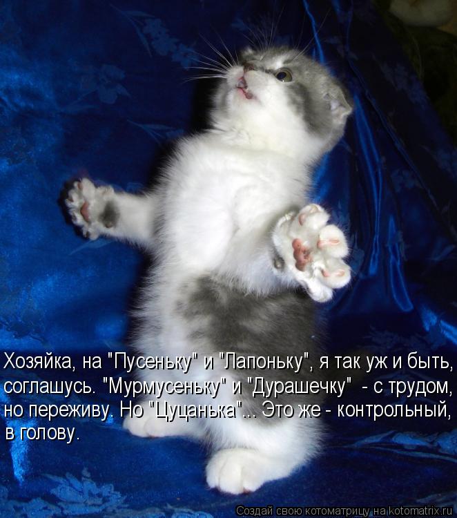 Хозяйка, на "Пусеньку" и "Лапоньку", я так уж и быть, но переживу. Но "Цуцанька"... Это же - контрол... Котоматрица: Хозяйка, на "Пусеньку" и "Лапоньку", я так уж и быть, но переживу. Но "Цуцанька"... Это же - контрольный, в голову. соглашусь. "Мурмусеньку" и "Дура