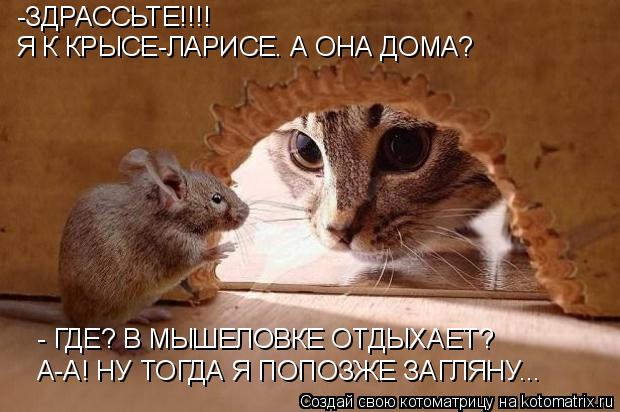 -ЗДРАССЬТЕ!!!! Я К КРЫСЕ-ЛАРИСЕ. А ОНА ДОМА? - ГДЕ? В МЫШЕЛОВКЕ ОТДЫХАЕТ? А-А! НУ ТОГДА Я ПОПОЗЖЕ З... Котоматрица: -ЗДРАССЬТЕ!!!! Я К КРЫСЕ-ЛАРИСЕ. А ОНА ДОМА? - ГДЕ? В МЫШЕЛОВКЕ ОТДЫХАЕТ? А-А! НУ ТОГДА Я ПОПОЗЖЕ ЗАГЛЯНУ...