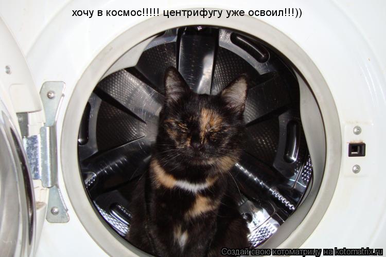 хочу в космос!!!!! хочу в космос!!!!! центрифугу уже освоил!!!))... Котоматрица: хочу в космос!!!!! хочу в космос!!!!! центрифугу уже освоил!!!))