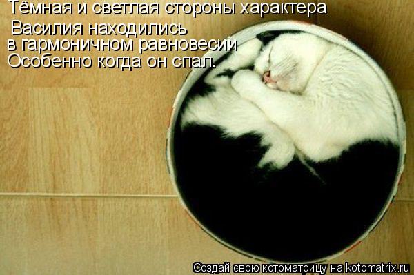 Тёмная и светлая стороны характера Василия находились в гармоничном равновесии Особенно когда он спа... Котоматрица: Тёмная и светлая стороны характера Василия находились в гармоничном равновесии Особенно когда он спал.