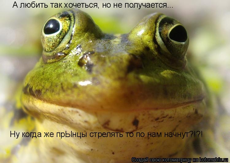А любить так хочеться, но не получается... Ну когда же прЫнцы стрелять то по нам начнут?!?!... Котоматрица: А любить так хочеться, но не получается... Ну когда же прЫнцы стрелять то по нам начнут?!?!