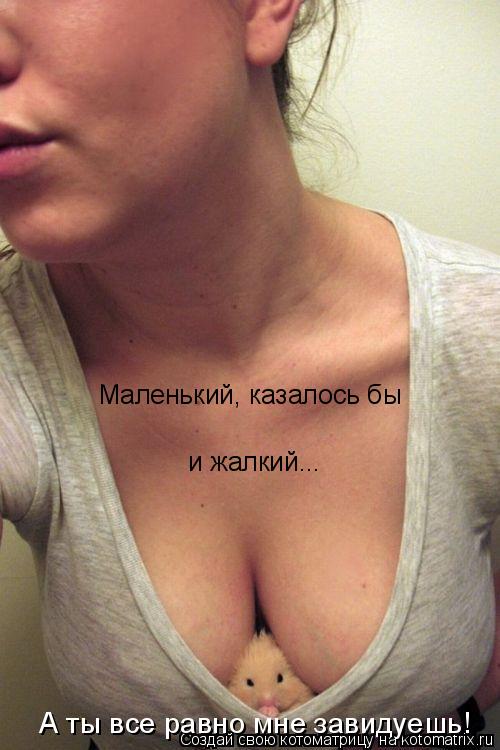 Маленький, казалось бы и жалкий... А ты все равно мне завидуешь!... Котоматрица: Маленький, казалось бы и жалкий... А ты все равно мне завидуешь!