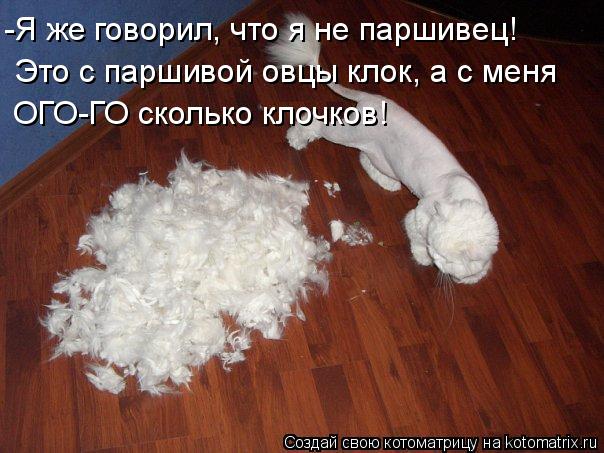 -Я же говорил, что я не паршивец! Это с паршивой овцы клок, а с меня ОГО-ГО сколько клочков!... Котоматрица: -Я же говорил, что я не паршивец! Это с паршивой овцы клок, а с меня ОГО-ГО сколько клочков!