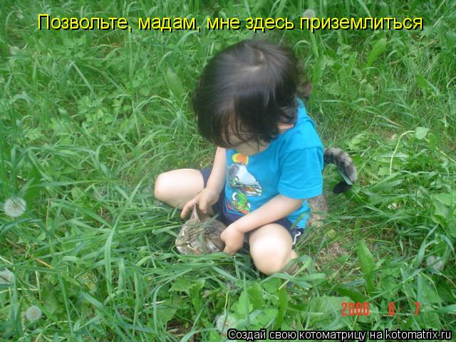 Позвольте, мадам, мне здесь приземлиться... Котоматрица: Позвольте, мадам, мне здесь приземлиться