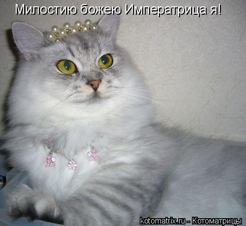 Милостию божею Императрица я!... Котоматрица: Милостию божею Императрица я!