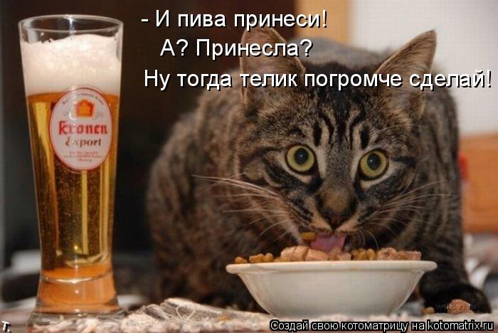 - И пива принеси! А? Принесла? Ну тогда телик погромче сделай!... Котоматрица: - И пива принеси! А? Принесла? Ну тогда телик погромче сделай!