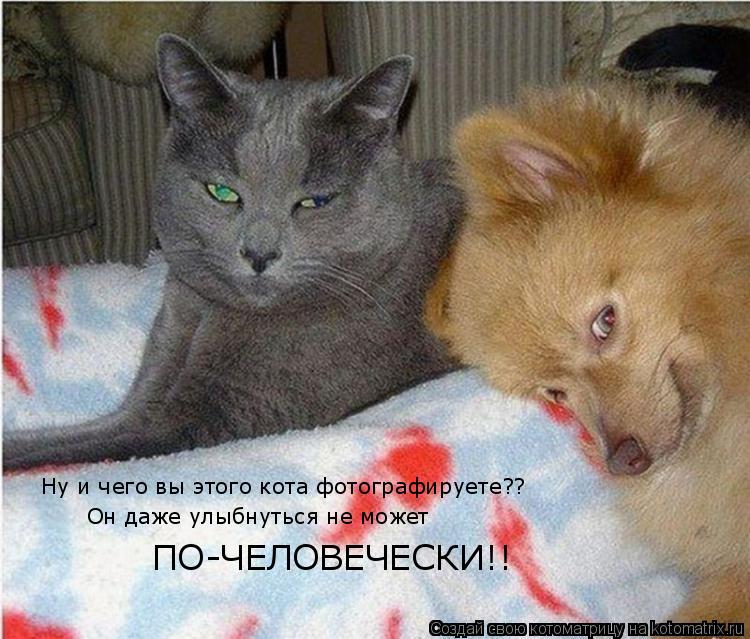 Ну и чего вы этого кота фотографируете?? Он даже улыбнуться не может ПО-ЧЕЛОВЕЧЕСКИ!!... Котоматрица: Ну и чего вы этого кота фотографируете?? Он даже улыбнуться не может ПО-ЧЕЛОВЕЧЕСКИ!!