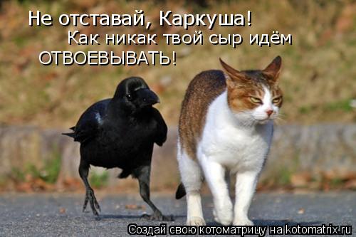 Не отставай, Каркуша! Как никак твой сыр идём ОТВОЕВЫВАТЬ!... Котоматрица: Не отставай, Каркуша! Как никак твой сыр идём ОТВОЕВЫВАТЬ!
