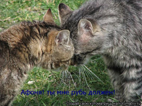 Афоня! ты мне рубь должен!... Котоматрица: Афоня! ты мне рубь должен!