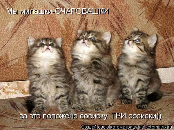 Мы милашки-ОЧАРОВАШКИ за это положено сосиску..ТРИ сосиски))... Котоматрица: Мы милашки-ОЧАРОВАШКИ за это положено сосиску..ТРИ сосиски))