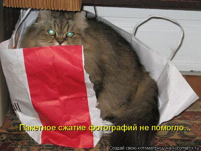 Пакетное сжатие фотографий не помогло...... Котоматрица: Пакетное сжатие фотографий не помогло...