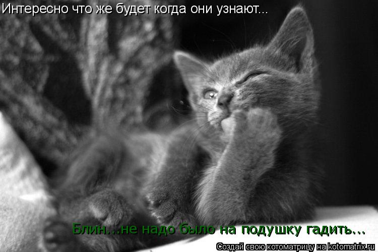 Интересно что же будет когда они узнают... Блин...не надо было на подушку гадить...... Котоматрица: Интересно что же будет когда они узнают... Блин...не надо было на подушку гадить...