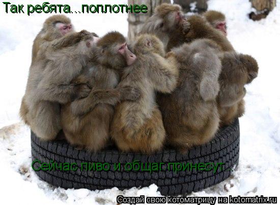 Так ребята...поплотнее Сейчас пиво и общаг принесут...... Котоматрица: Так ребята...поплотнее Сейчас пиво и общаг принесут...