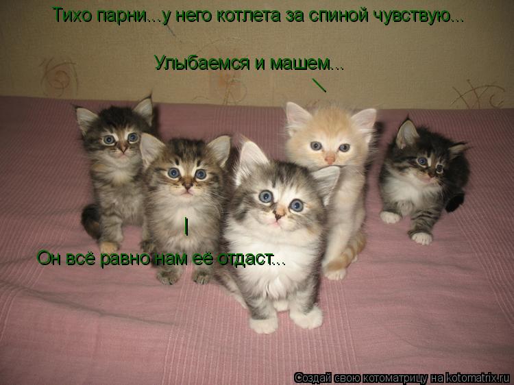 Тихо парни...у него котлета за спиной чувствую... Улыбаемся и машем... Он всё равно нам её отдаст... ... Котоматрица: Тихо парни...у него котлета за спиной чувствую... Улыбаемся и машем... Он всё равно нам её отдаст... | |