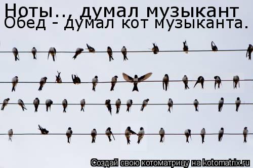 Ноты.., думал музыкант Обед - думал кот музыканта.... Котоматрица: Ноты.., думал музыкант Обед - думал кот музыканта.