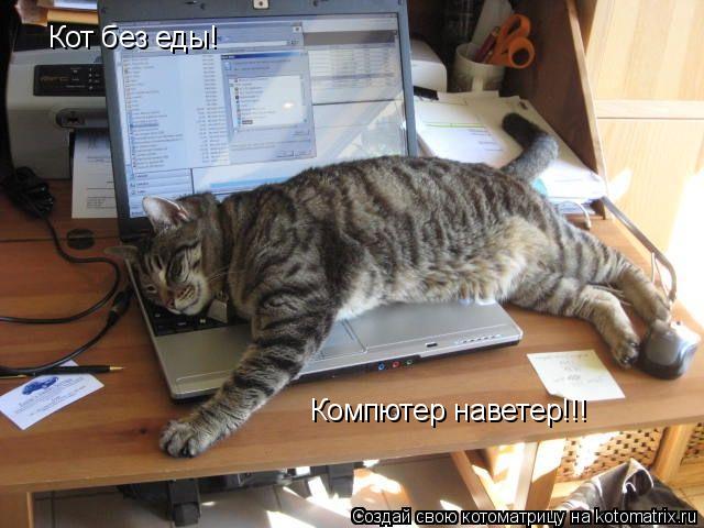 Кот без еды! Компютер наветер!!!... Котоматрица: Кот без еды! Компютер наветер!!!
