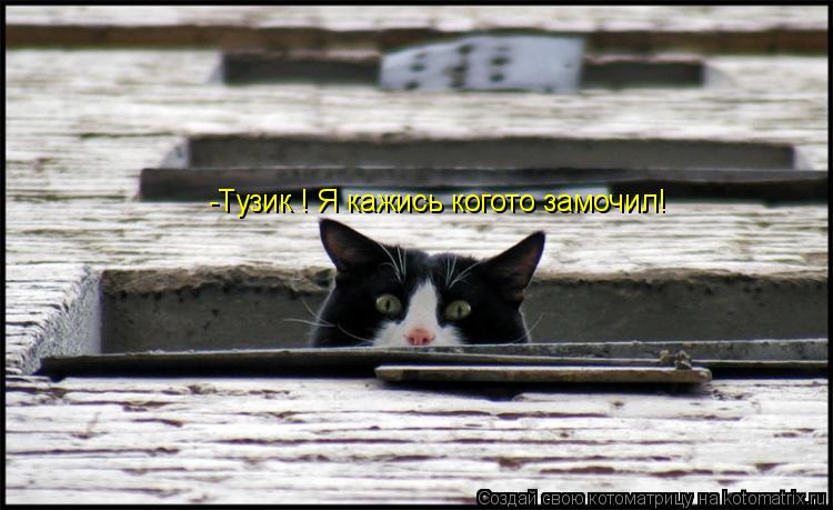 -Тузик ! Я кажись когото замочил!... Котоматрица: -Тузик ! Я кажись когото замочил!