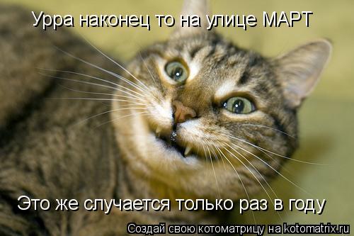Урра наконец то на улице МАРТ Это же случается только раз в году... Котоматрица: Урра наконец то на улице МАРТ Это же случается только раз в году