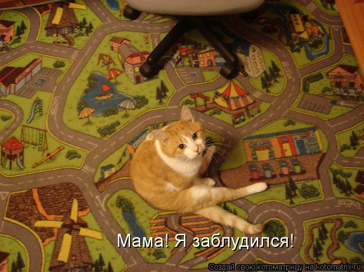 Мама! Я заблудился!... Котоматрица: Мама! Я заблудился!