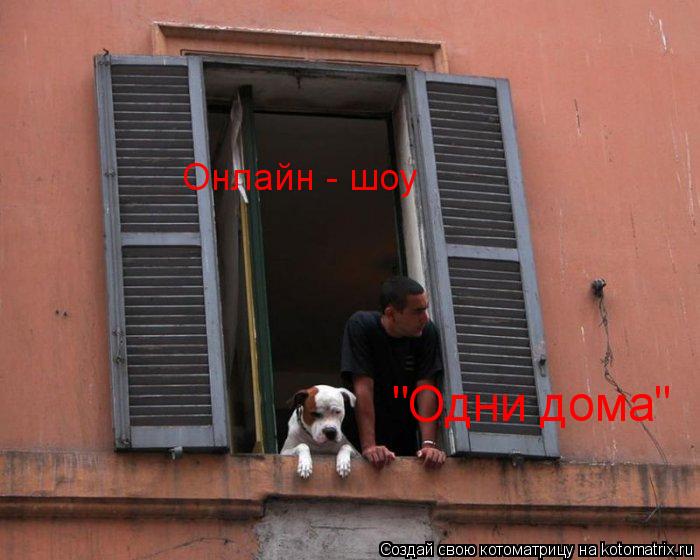 Онлайн - шоу "Одни дома"... Котоматрица: Онлайн - шоу "Одни дома"
