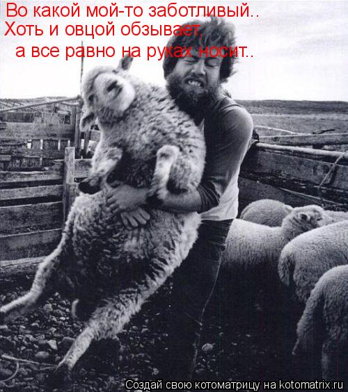 Во какой мой-то заботливый.. а все равно на руках носит.. Хоть и овцой обзывает,... Котоматрица: Во какой мой-то заботливый.. а все равно на руках носит.. Хоть и овцой обзывает,