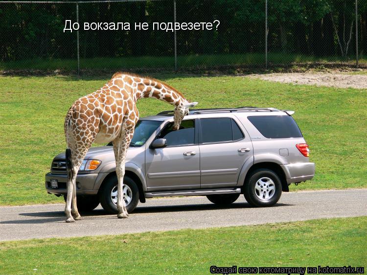 До вокзала не подвезете?... Котоматрица: До вокзала не подвезете?