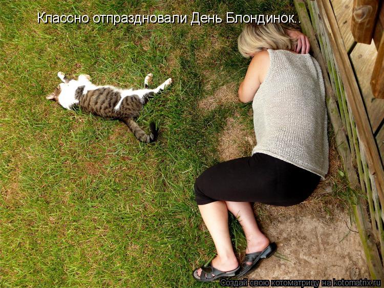 Классно отпраздновали День Блондинок..... Котоматрица: Классно отпраздновали День Блондинок..
