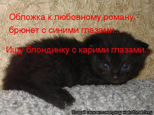 Обложка к любовному роману - брюнет с синими глазами... Ищу блондинку с карими глазами...... Котоматрица: Обложка к любовному роману - брюнет с синими глазами... Ищу блондинку с карими глазами...
