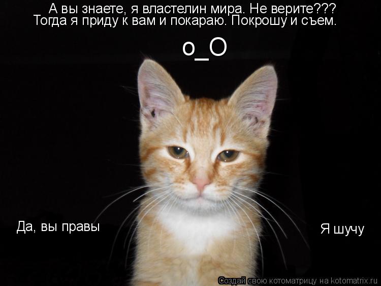 А вы знаете, я властелин мира. Не верите??? Тогда я приду к вам и покараю. Покрошу и съем. о_О Да, вы... Котоматрица: А вы знаете, я властелин мира. Не верите??? Тогда я приду к вам и покараю. Покрошу и съем. о_О Да, вы правы Я шучу