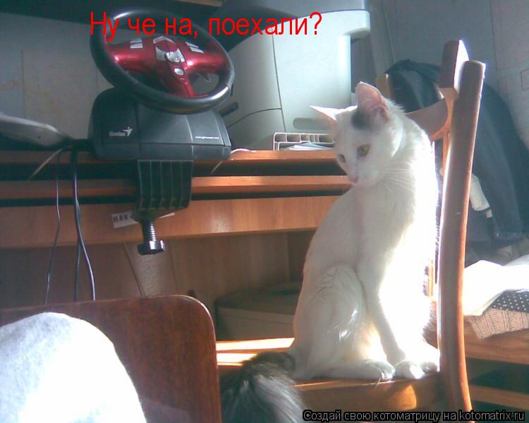 Ну че на, поехали?... Котоматрица: Ну че на, поехали?