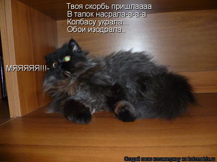 Твоя скорбь пришлаааа В тапок насрала-а-а-а Колбасу украла... Обои изодрала.. МЯЯЯЯЯ!!!-... Котоматрица: Твоя скорбь пришлаааа В тапок насрала-а-а-а Колбасу украла... Обои изодрала.. МЯЯЯЯЯ!!!-