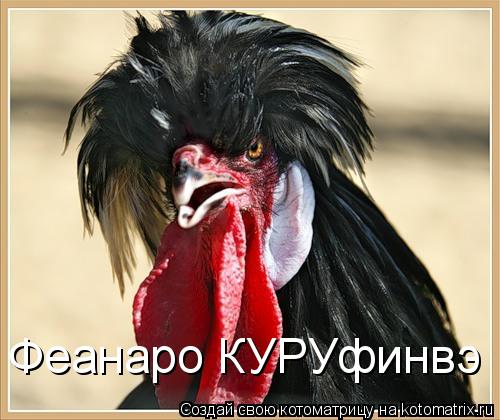 Феанаро КУРУфинвэ... Котоматрица: Феанаро КУРУфинвэ