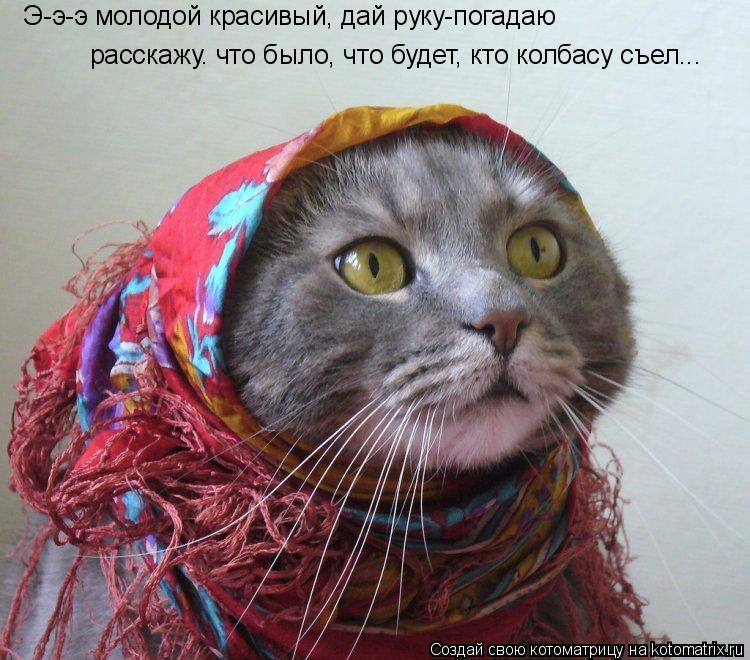 Э-э-э молодой красивый, дай руку-погадаю расскажу. что было, что будет, кто колбасу съел...... Котоматрица: Э-э-э молодой красивый, дай руку-погадаю расскажу. что было, что будет, кто колбасу съел...