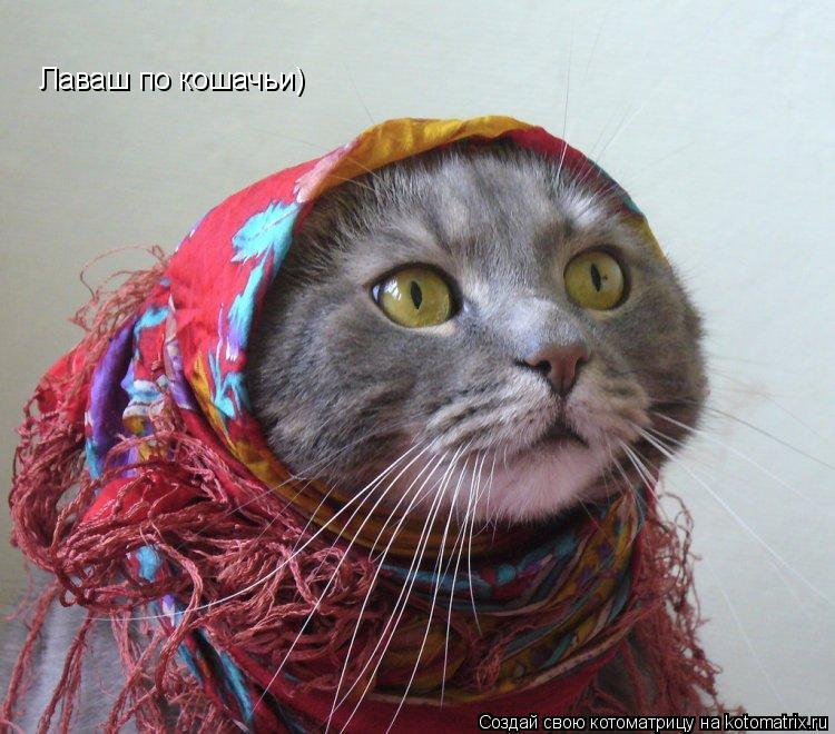 Лаваш по кошачьи)... Котоматрица: Лаваш по кошачьи)