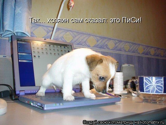 Так... хозяин сам сказал: это ПиСи!... Котоматрица: Так... хозяин сам сказал: это ПиСи!