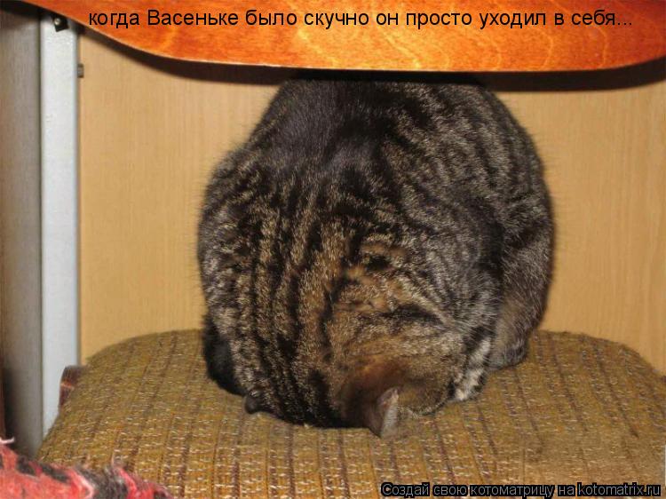 когда Васеньке было скучно он просто уходил в себя...... Котоматрица: когда Васеньке было скучно он просто уходил в себя...