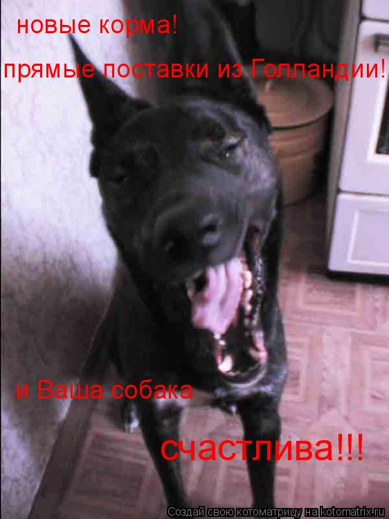 новые корма! новые корма! прямые поставки из Голландии! и Ваша собака счастлива!!!... Котоматрица: новые корма! новые корма! прямые поставки из Голландии! и Ваша собака счастлива!!!