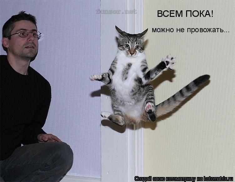 ВСЕМ ПОКА! можно не провожать...... Котоматрица: ВСЕМ ПОКА! можно не провожать...